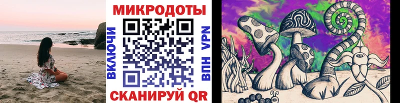 где можно купить   Протвино  Псилоцибиновые грибы MAGIC MUSHROOMS 