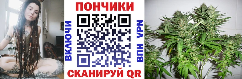 Бошки Шишки White Widow Протвино